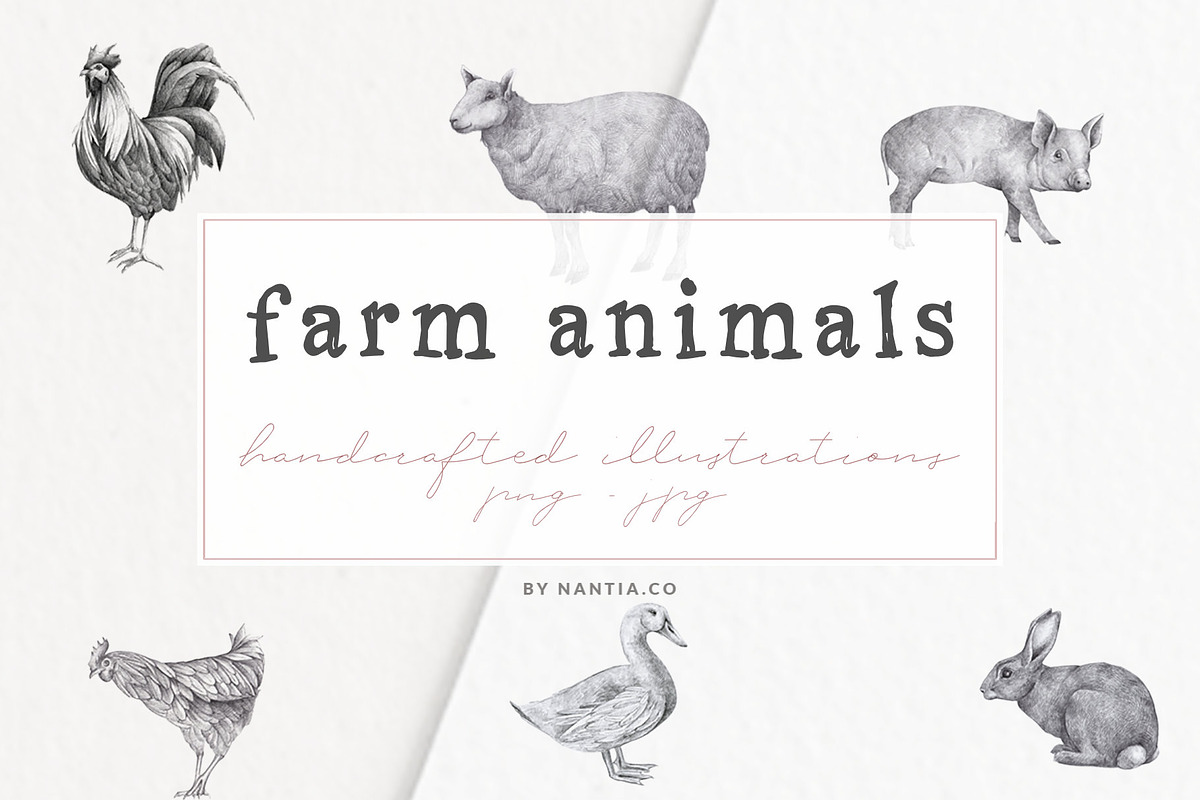 Farm Animals Illustration Pack, a Pattern Graphic by Greek fonts by nantia.co (Photo 1 of 7)