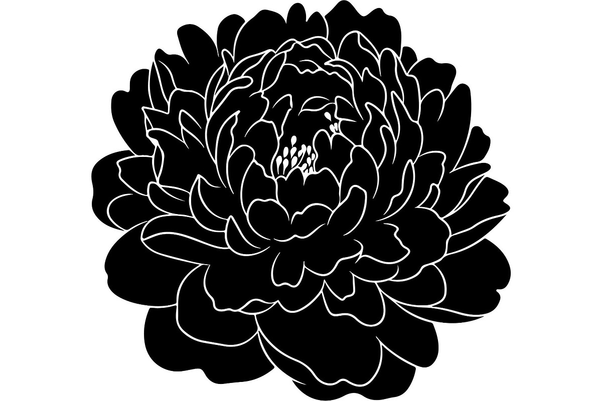 Peony Flower Silhouette, an Object Graphic by Designer_Momina (Photo 3 of 18)