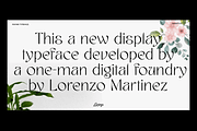 Mayari - Expressive elegant Typeface, a Sans Serif Font by Lurinzu Studios (Thumbnail 2 of 4)