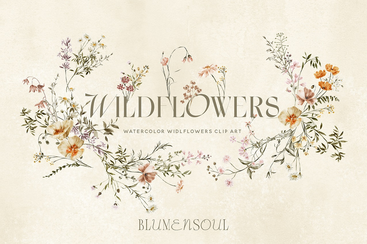 Wildflowers Watercolor flowers, an Illustration by BlumenSoul (Photo 1 of 10)