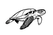 50 Sea Turtle Vector Silhouette Bund, an Illustration by jahid234 (Thumbnail 18 of 51)