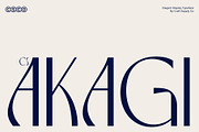 CS Akagi – Elegant Sans Serif, a Sans Serif Font by Craft Supply Co. (Thumbnail 1 of 8)