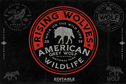 LONE WOLF - Serif font, a Serif Font by Artistic & Unique (Thumbnail 3 of 7)