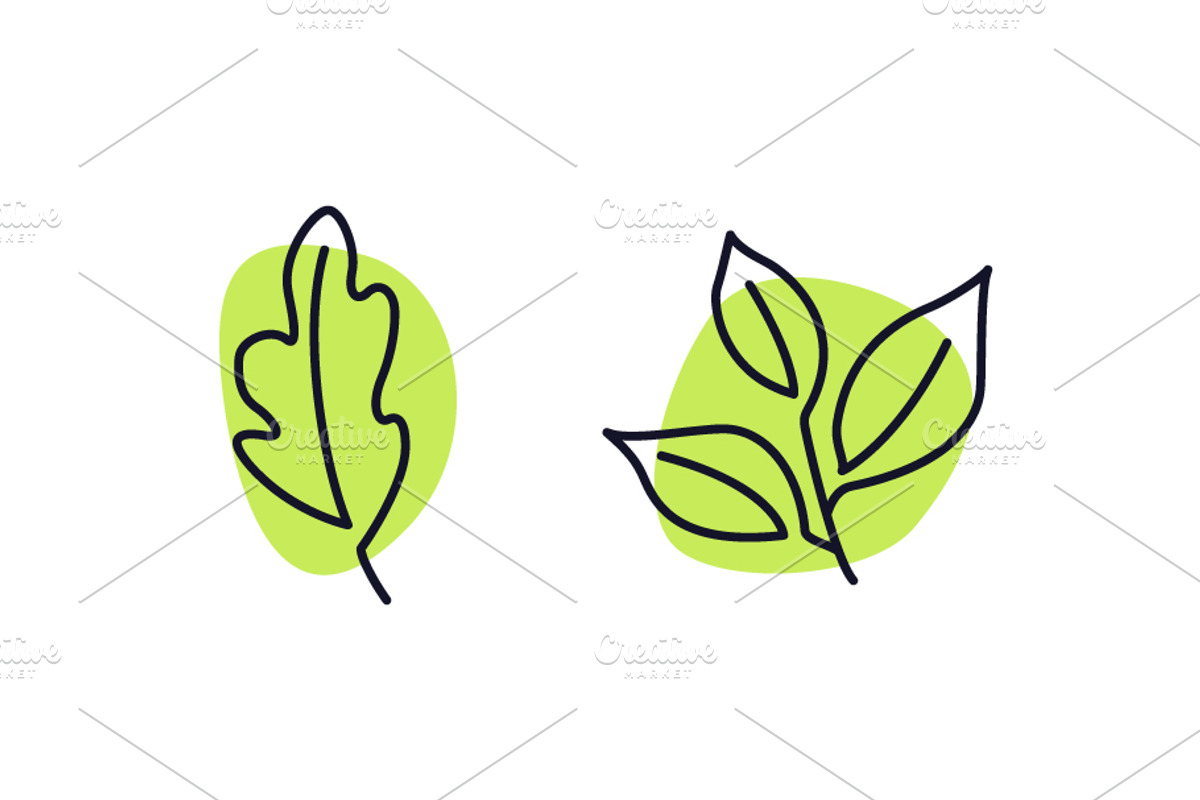 Handdrawn Leaves Nature Concept, an Outline Icon by Black White Mouse Design (Photo 3 of 4)