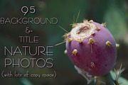 95 Background & Title Nature Photos preview 4