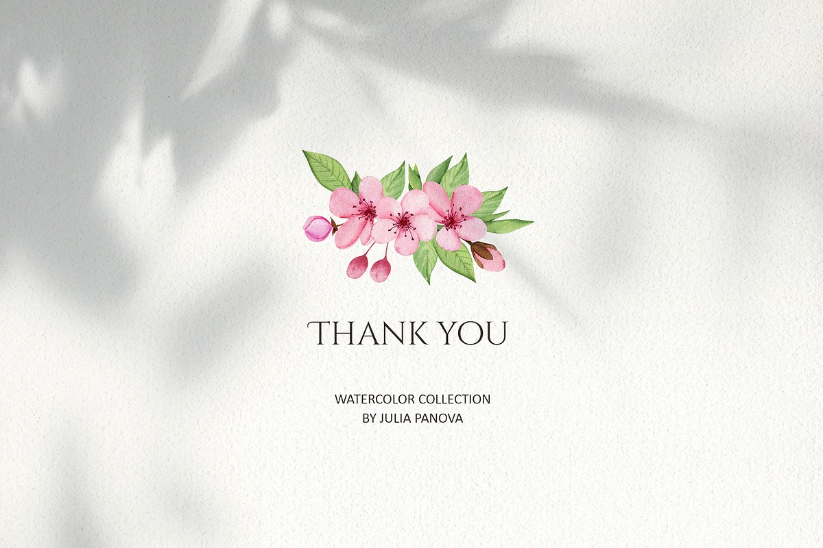 Cherry blossom watercolor clipart, an Illustration by Color Hugs Art (Photo 8 of 8)