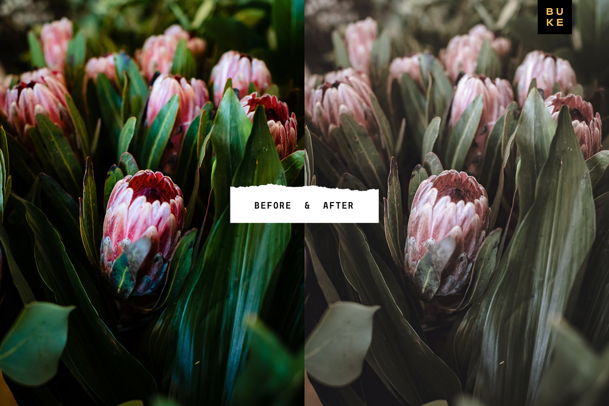 Le Natures Neutral Lightroom Presets, a Preset Add-On by SHOOM HOUSE (Photo 3 of 7)