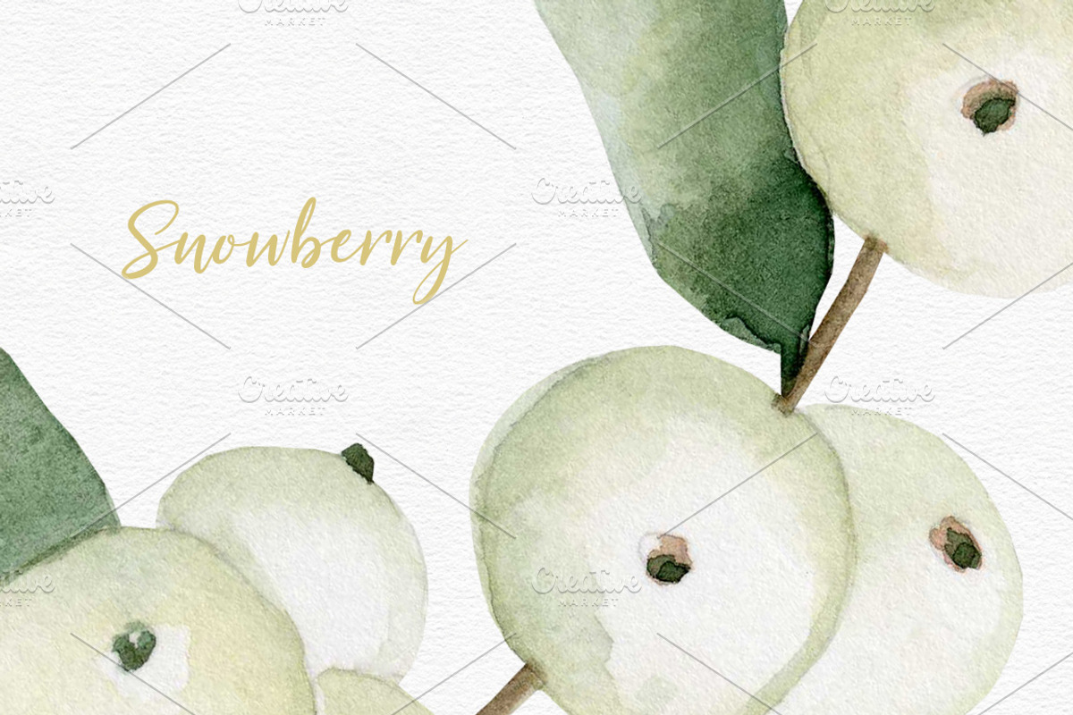 Watercolor Snowberry set, a Graphic by Colibri Watercolor (Photo 5 of 5)