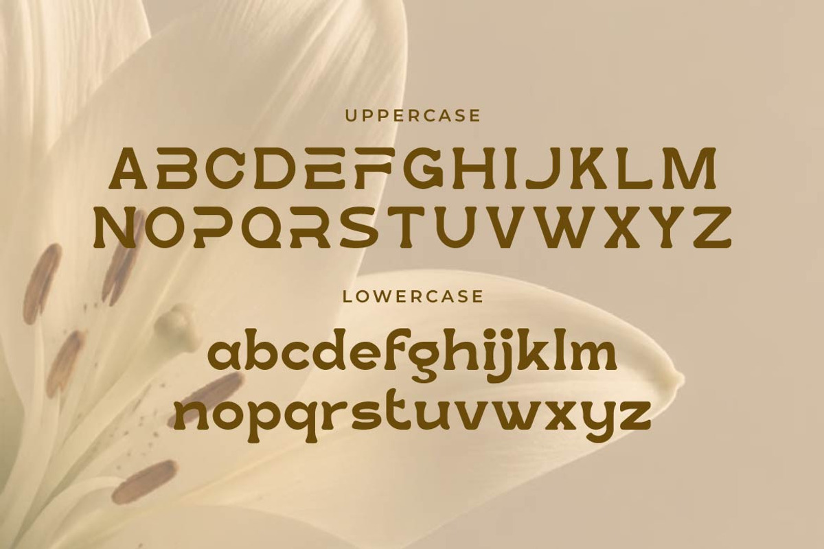 Lootta – Bold Rounded Display Font, a Serif Font by Artiveko (Photo 2 of 8)