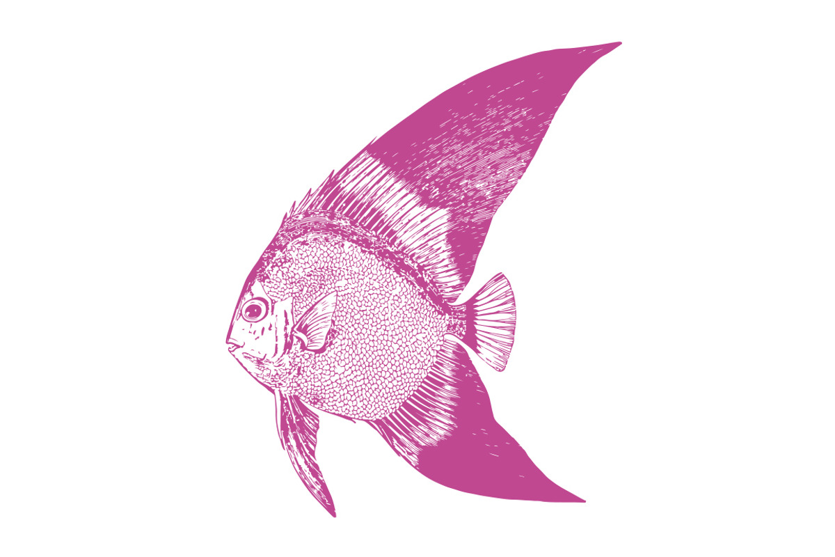10 Vector Ocean Illustration Pack, an Illustration by Theresa Barba (Photo 7 of 11)