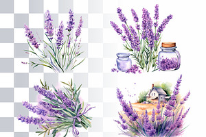 Southern Lavender Watercolor Clipart