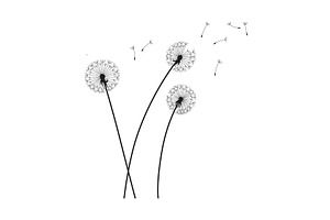 Dandelion wind blow background, an Object Illustration by Things for designers
