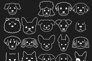 Cartoon Dog Head/Faces Set 1