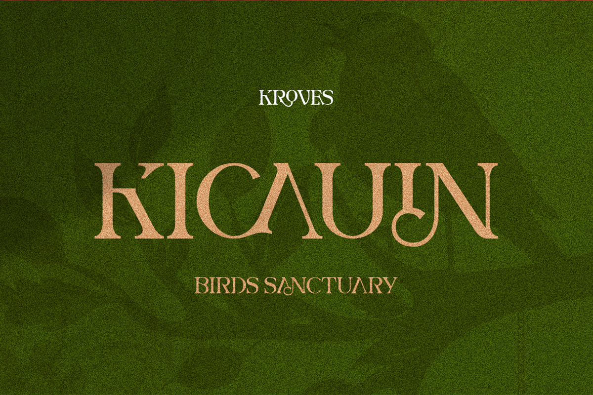 Kroves - Elegant Serif Font, a Serif Font by Grontype (Photo 2 of 10)