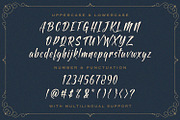 Antapin - Bold Script Font, a Script Font by StringLabs (Thumbnail 10 of 12)