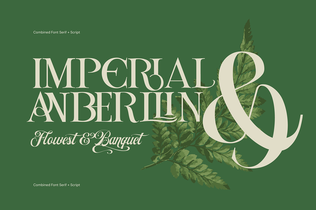 Louise - Elegant Ligatures Serif, a Serif Font by Fortunes Co (Photo 9 of 14)