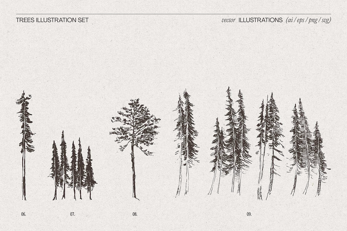 Hand-Drawn Trees Illustration Set, an Object Graphic by TheMountBirdStudio (Photo 6 of 6)