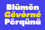 Pottred Bold Display Font, a Sans Serif Font by Glyphminds Studios (Thumbnail 4 of 4)