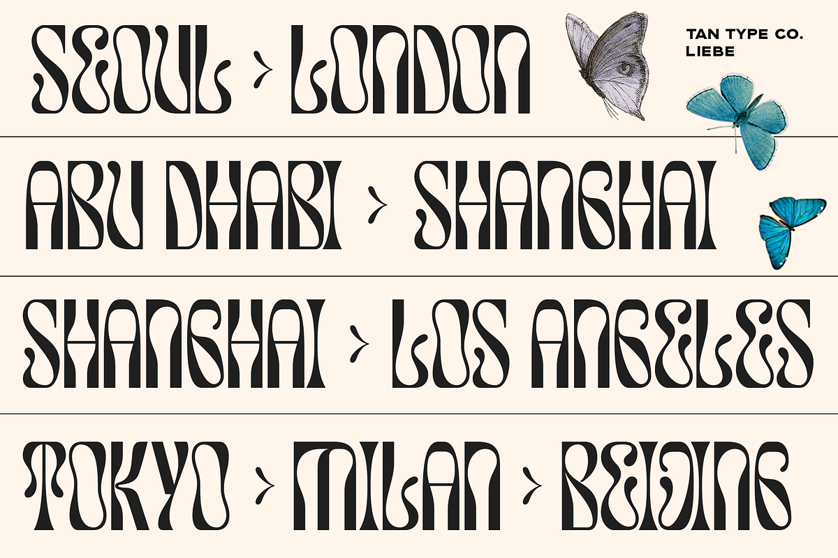 TAN - LIEBE, a Font by TanType (Photo 6 of 12)