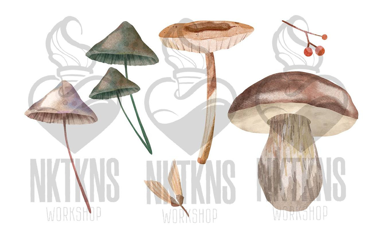 Watercolor Mushrooms Clipart, a Decorative Illustration by NKTKNS (Photo 3 of 6)