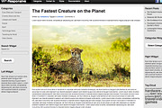 Hot Responsive, a WordPress Template by hot-themes (Thumbnail 5 of 5)
