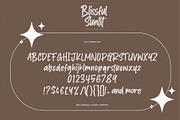 Blissful Sunlit – Quick Brush Font, a Handwritten Font by Gassstype (Thumbnail 6 of 8)