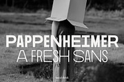 Pappenheimer – A Fresh Sans, a Sans Serif Font by Local Desk Designstudio (Thumbnail 4 of 20)