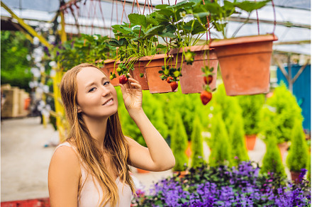 Happy woman collecting fresh, a Food & Drink Photo by Elizaveta Galitskaya