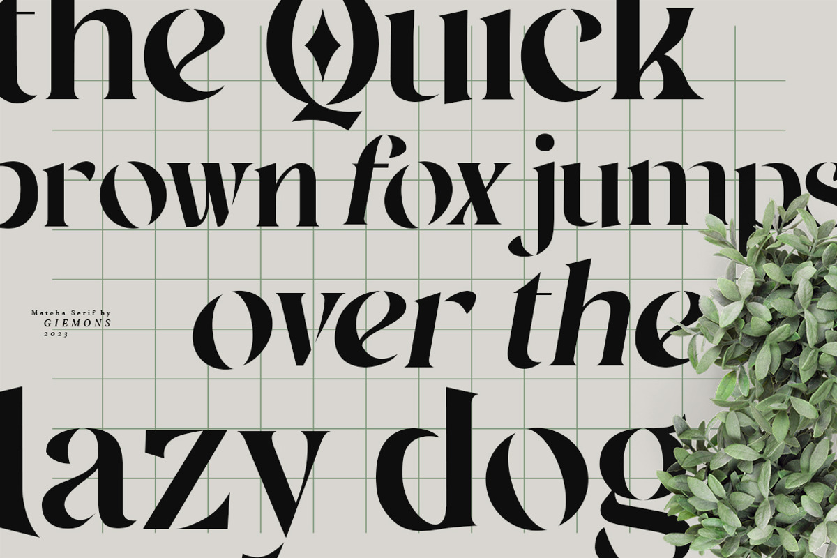 Matcha Serif Display, a Serif Font by giemons™ (Photo 2 of 8)
