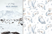 Arctic cute animals.  Watercolor set, an Animal Illustration by Peace ART (Thumbnail 20 of 22)