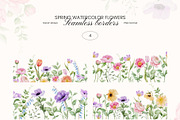 Spring Garden watercolor flowers, a Decorative Illustration by Yuliia Lashevska (Thumbnail 10 of 13)