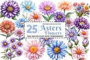 Watercolor Aster Flowers Botanical C, an Illustration by Watercolor design (Thumbnail 1 of 4)
