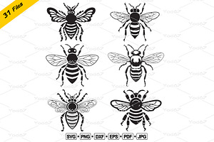 Vector Of Bee Group Design. Insect.