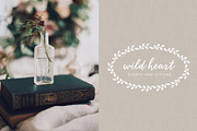 Calligraphy Script Brooklyn Heights, a Script Font by Mila Garret (Thumbnail 5 of 8)