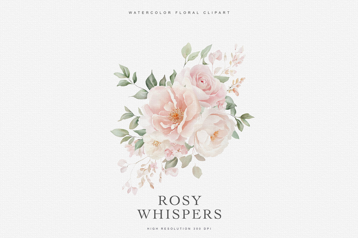Watercolor Soft Blush Roses, a Decorative Illustration by Patishop Art (Photo 5 of 7)