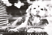 Old Scan Print, a Layer Style Add-On by dokudokunomi (Thumbnail 3 of 5)