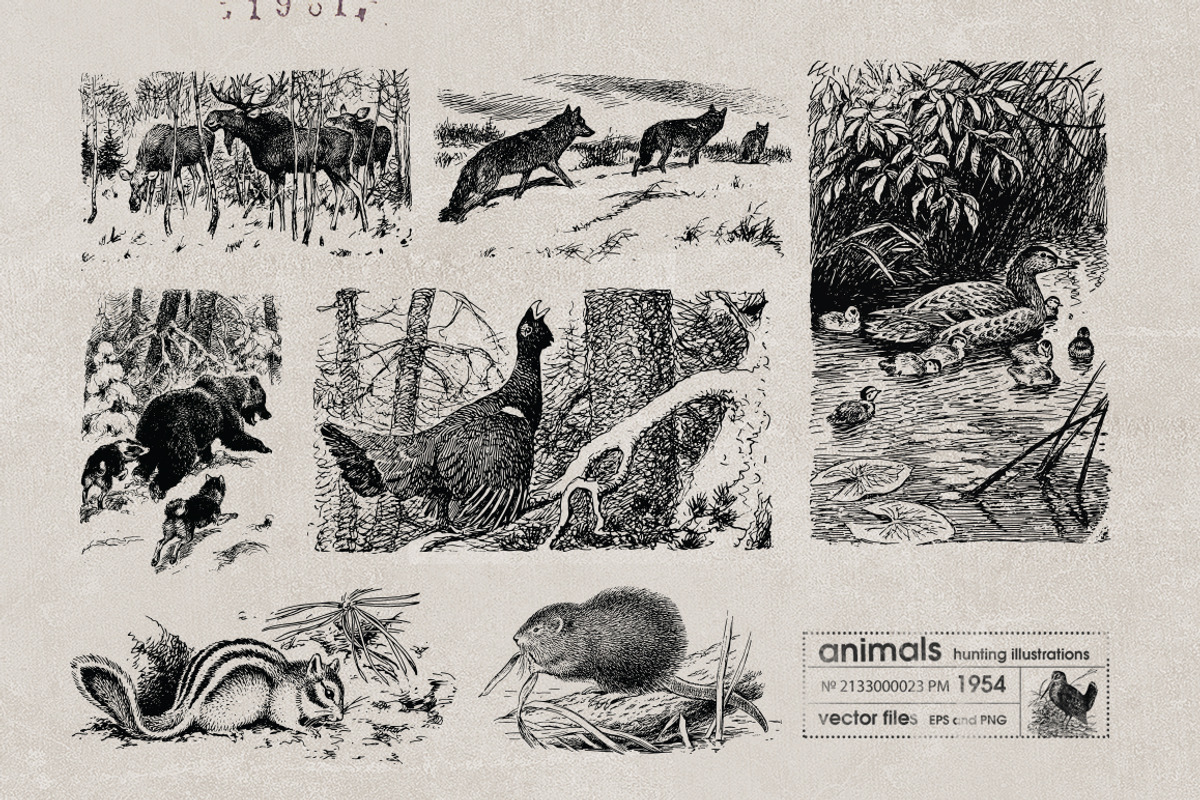 Vintage Bundle 2500+ Free Update, an Animal Illustration by Retro Machine (Photo 162 of 170)
