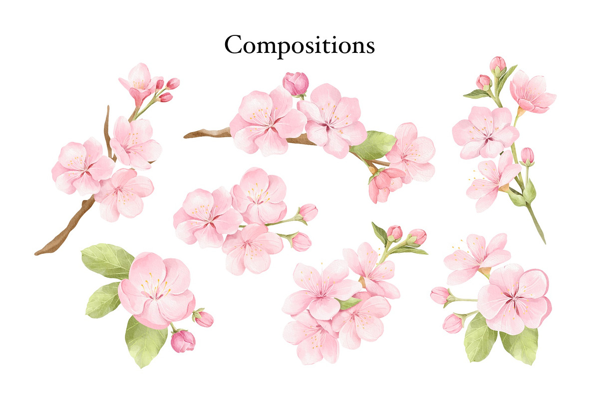Watercolor Cherry Blossom Clipart, an Object Illustration by ArtGiftsStudio (Photo 2 of 5)