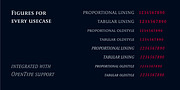 Romis, a Serif Font by Finaltype (Thumbnail 5 of 22)