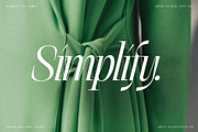 The Elfkin Editorial - Modern Serif, a Serif Font by SilverStag Type Foundry (Thumbnail 4 of 20)