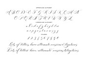 Marquise - A Wedding Script Font, a Script Font by vatesdesign (Thumbnail 5 of 6)