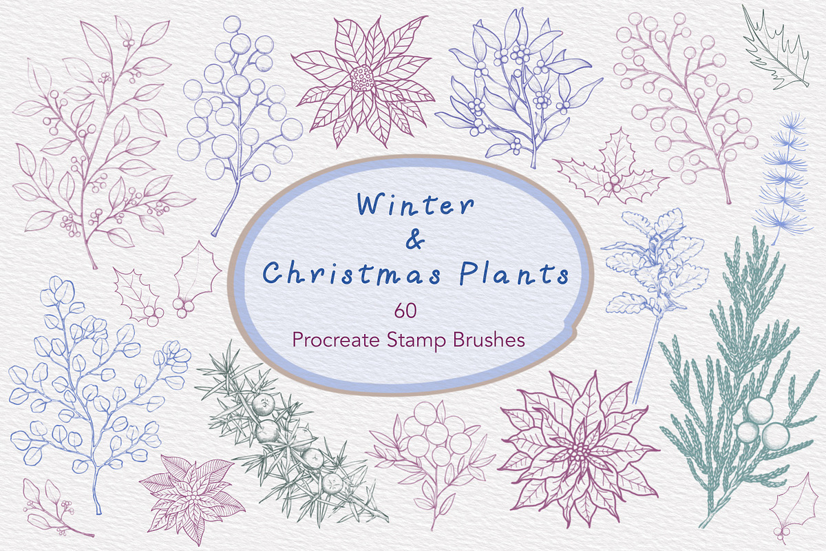 Winter & Christmas Plants,Procreate, a Brush Add-On by Sense Library (Photo 1 of 11)