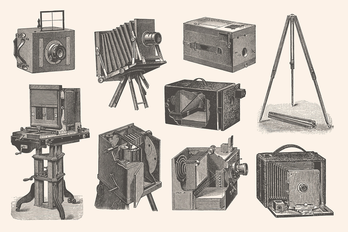 Photography - Vintage Illustrations, an Illustration by Graphic Goods (Photo 8 of 11)