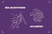 BERRY LINE ART SET (20 elements), a Food Illustration by Bonfloret Studio (Thumbnail 6 of 9)