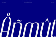 CS Strange – Modern Serif Font, a Serif Font by Craft Supply Co. (Thumbnail 7 of 8)