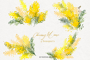 Charming Mimosa - Yellow Flowers PNG