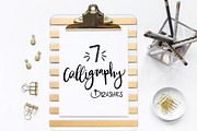 7 Procreate Calligraphy Brushes, a Brush Add-On by Ale Estrada (Thumbnail 1 of 3)