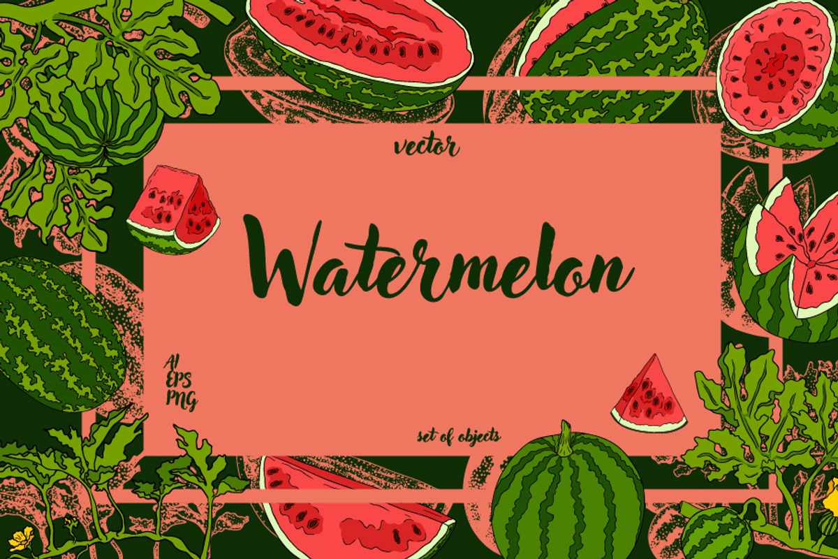 Hand drawn Watermelon, a Food Illustration by Elena Mykhailenko (Photo 1 of 4)