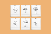 Toadstools Vector Illustrations, a Decorative Illustration by Emma Webb Studio (Thumbnail 2 of 7)