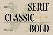 Boldentia, a Serif Font by graphicook (Thumbnail 2 of 10)